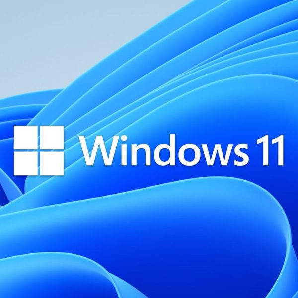 Windows 11