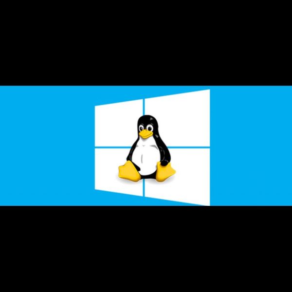 Curso de Linux básico