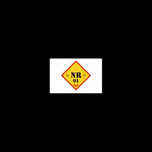 NR01 - Disposições gerais